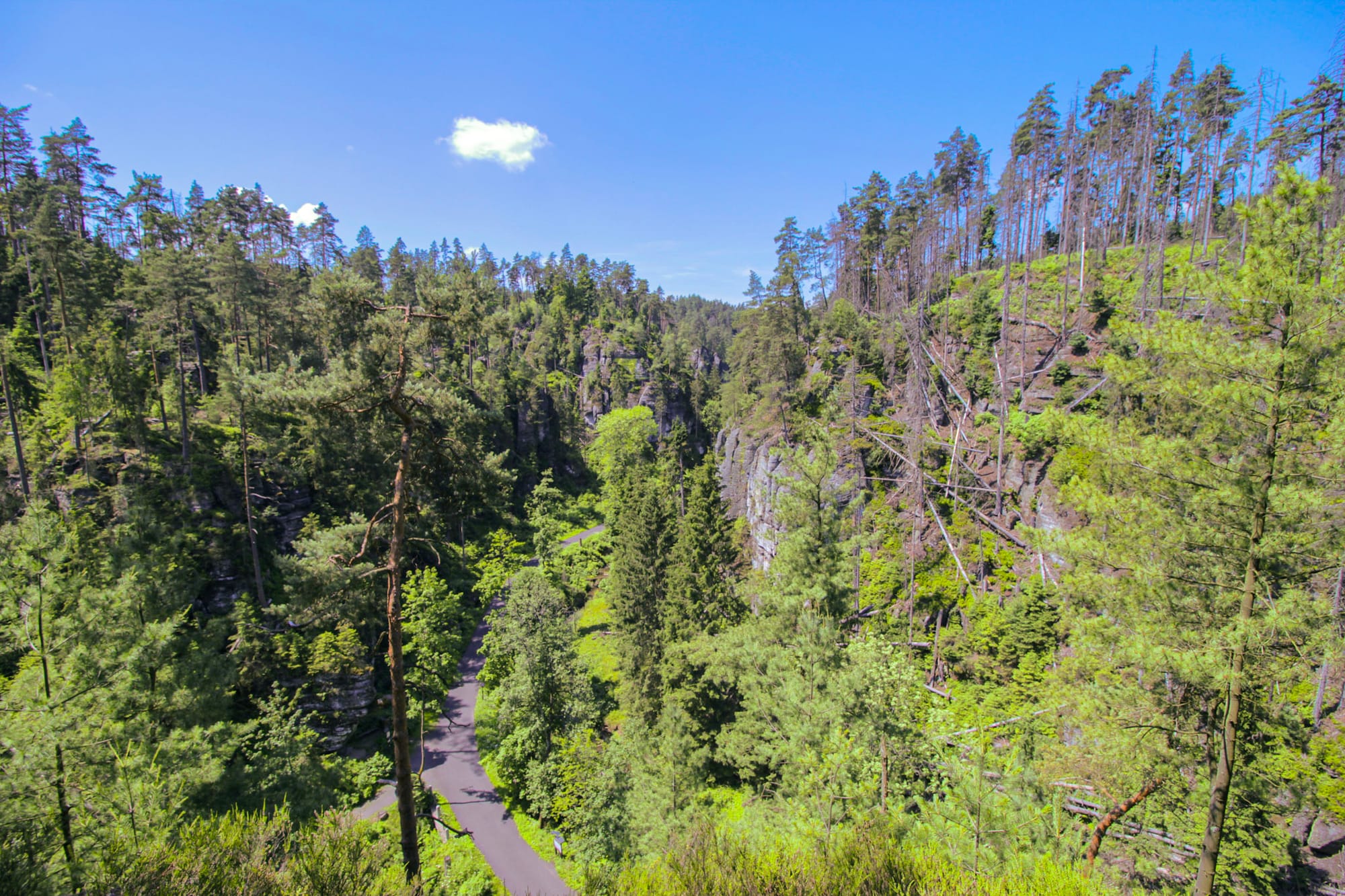Blick in ein Tal mit Wanderweg nahe Kyjov, Nordböhmen.